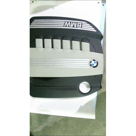 Capac motor