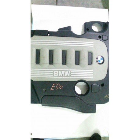 Capac motor