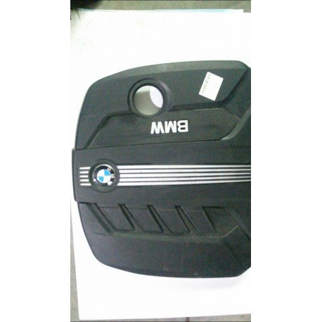 Capac motor