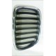 Grila radiator