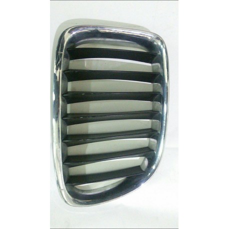 Grila radiator