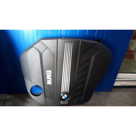 Capac motor
